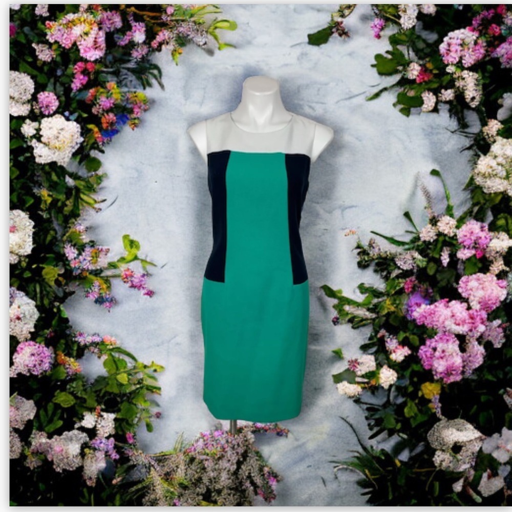 BananaRepublic Kelly Green Navy White Color Block Sheath Dress NWOT Sz 2…